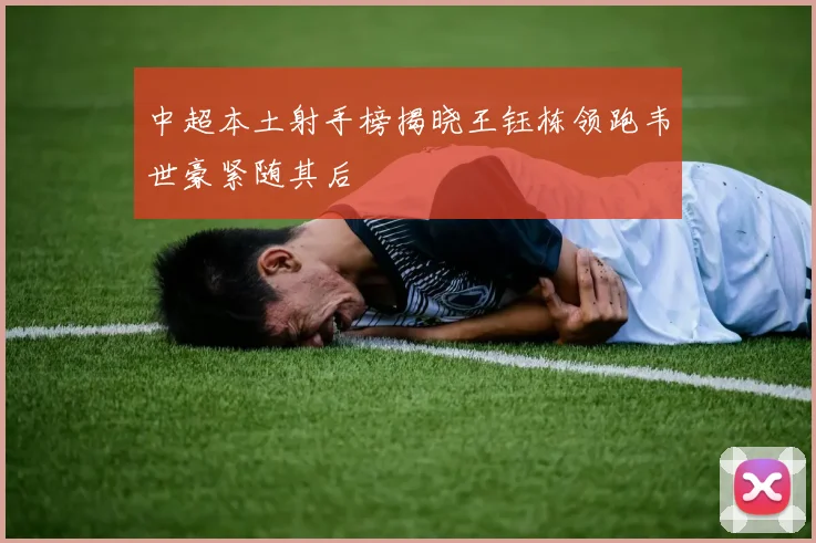 中超本土射手榜揭晓王钰栋领跑韦世豪紧随其后