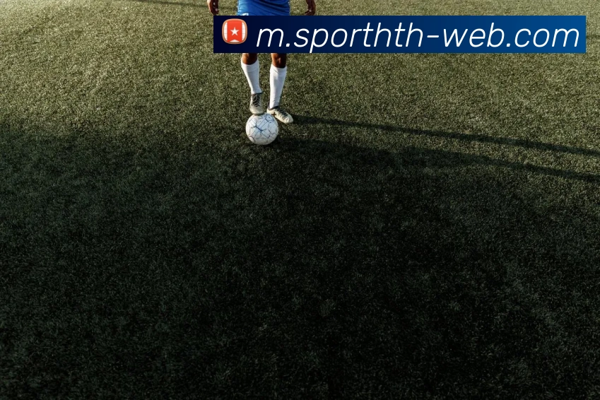 华体会体育服务体系